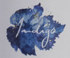 Indigo Vineyard